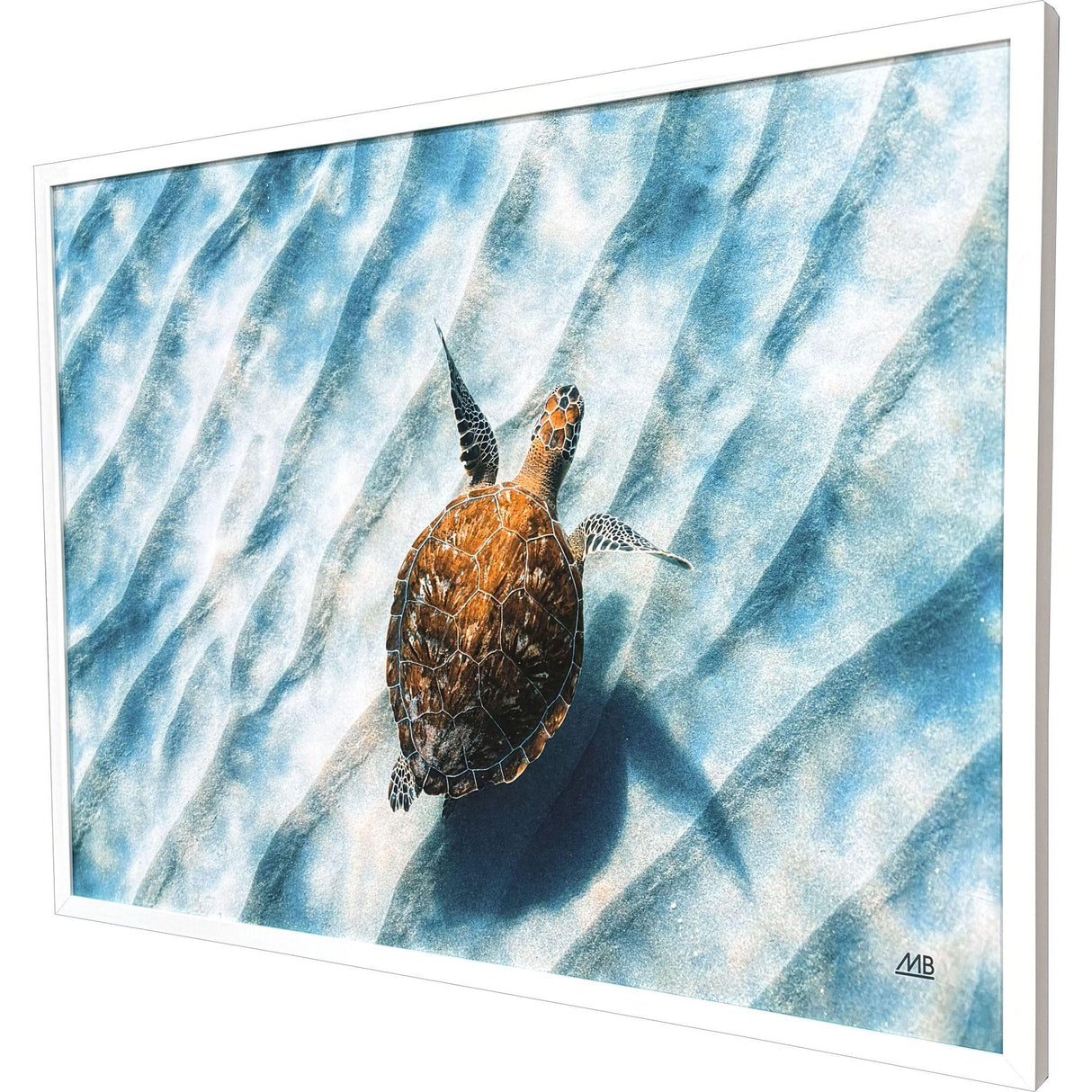 Paragon Sandbar Sea Turtle Blue 38 X 50 X 3 Wall Art
