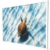 Paragon Sandbar Sea Turtle Blue 38 X 50 X 3 Wall Art