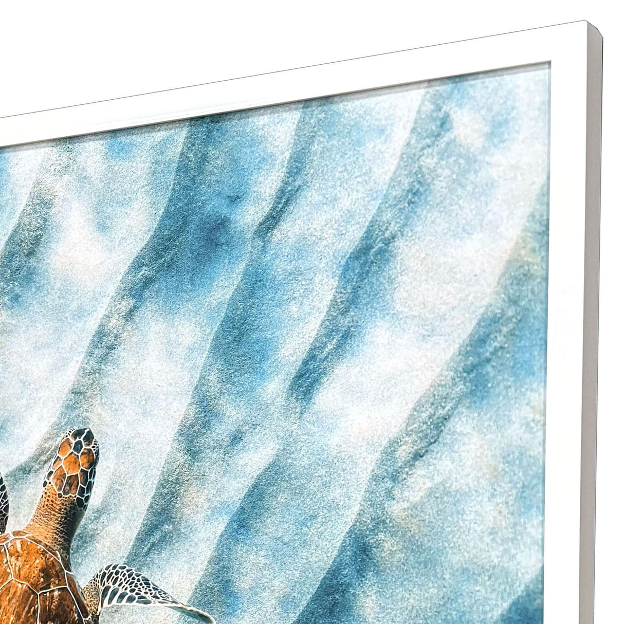 Paragon Sandbar Sea Turtle Blue 38 X 50 X 3 Wall Art
