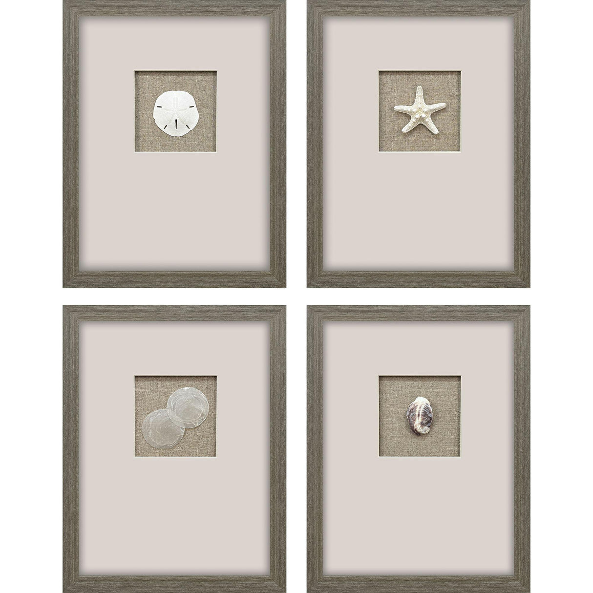 Paragon Natural Elements S/4 Beige 18 X 14 X 2 Wall Art