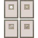 Paragon Natural Elements S/4 Beige 18 X 14 X 2 Wall Art