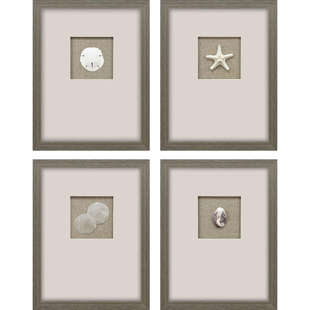 Paragon Natural Elements S/4 Beige 18 X 14 X 2 Wall Art