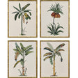 Paragon Contemporary Palm I S/4 Green 25 X 19 X 2 Wall Art