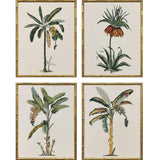 Paragon Contemporary Palm I S/4 Green 25 X 19 X 2 Wall Art