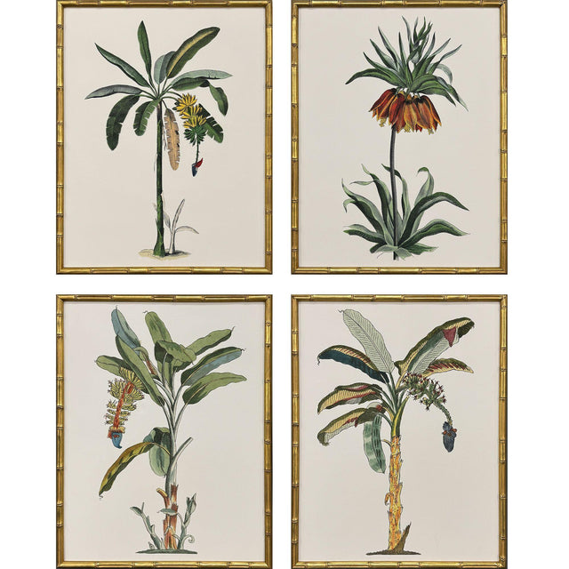Paragon Contemporary Palm I S/4 Green 25 X 19 X 2 Wall Art
