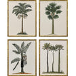 Paragon Contemporary Palm II S/4 Green 25 X 19 X 2 Wall Art