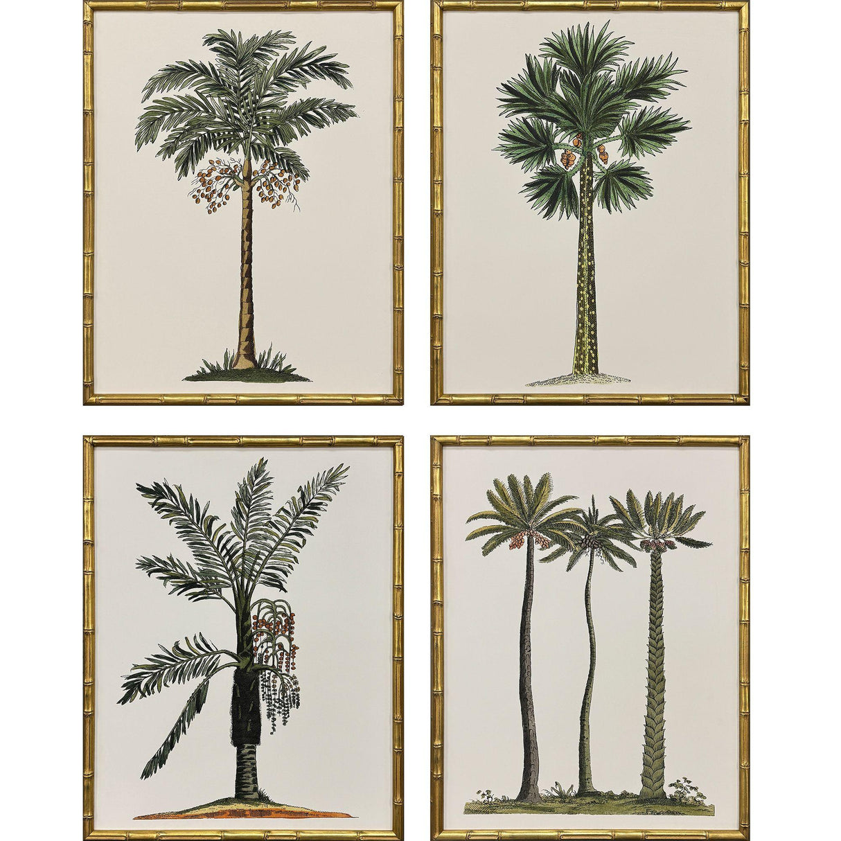 Paragon Contemporary Palm II S/4 Green 25 X 19 X 2 Wall Art