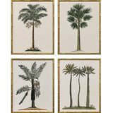 Paragon Contemporary Palm II S/4 Green 25 X 19 X 2 Wall Art