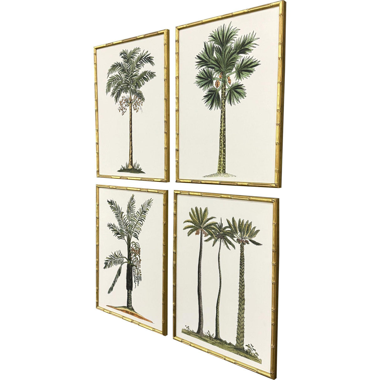Paragon Contemporary Palm II S/4 Green 25 X 19 X 2 Wall Art