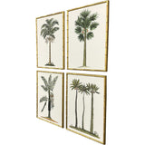 Paragon Contemporary Palm II S/4 Green 25 X 19 X 2 Wall Art