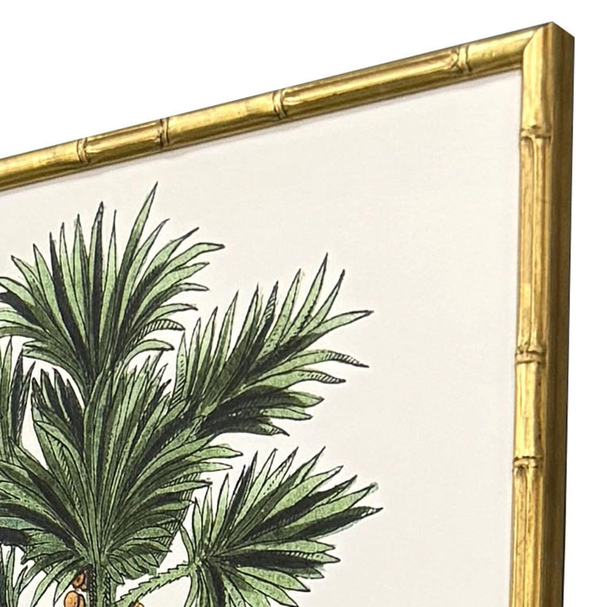 Paragon Contemporary Palm II S/4 Green 25 X 19 X 2 Wall Art