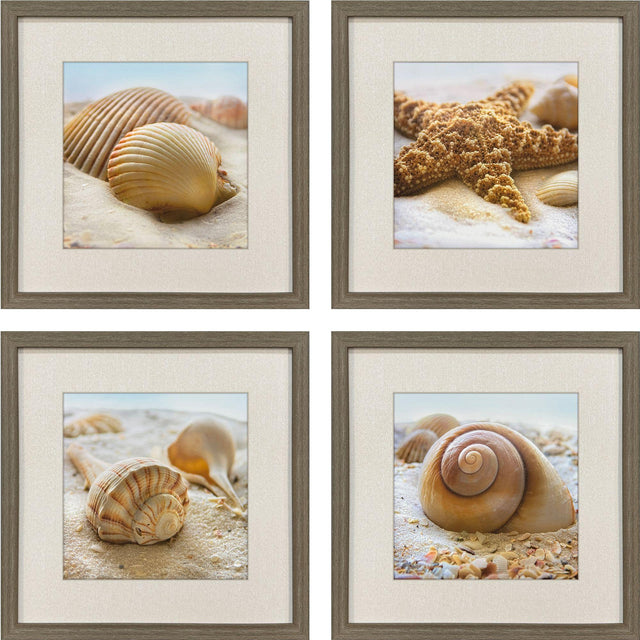 Paragon Beachy Shells S/4 Brown 20 X 20 X 2 Wall Art
