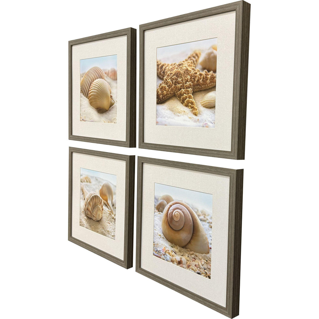 Paragon Beachy Shells S/4 Brown 20 X 20 X 2 Wall Art