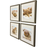 Paragon Beachy Shells S/4 Brown 20 X 20 X 2 Wall Art
