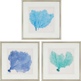 Paragon Sea Fan II S/3 Blue 24 X 24 X 1 Wall Art