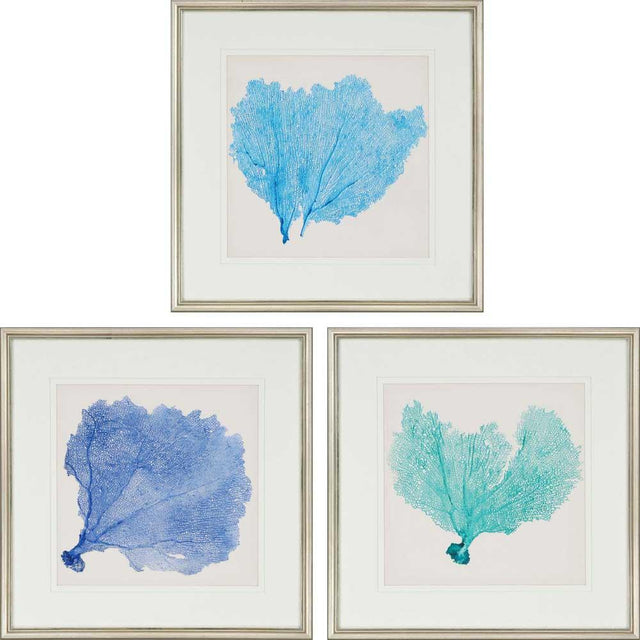 Paragon Sea Fan II S/3 Blue 24 X 24 X 1 Wall Art