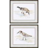 Paragon Sandpiper S/2 Brown 21 X 26 X 2 Wall Art