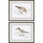 Paragon Sandpiper S/2 Brown 21 X 26 X 2 Wall Art