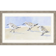 Paragon Sandpipers I Blue 26 X 42 X 2 Wall Art
