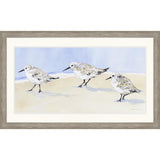 Paragon Sandpipers I Blue 26 X 42 X 2 Wall Art