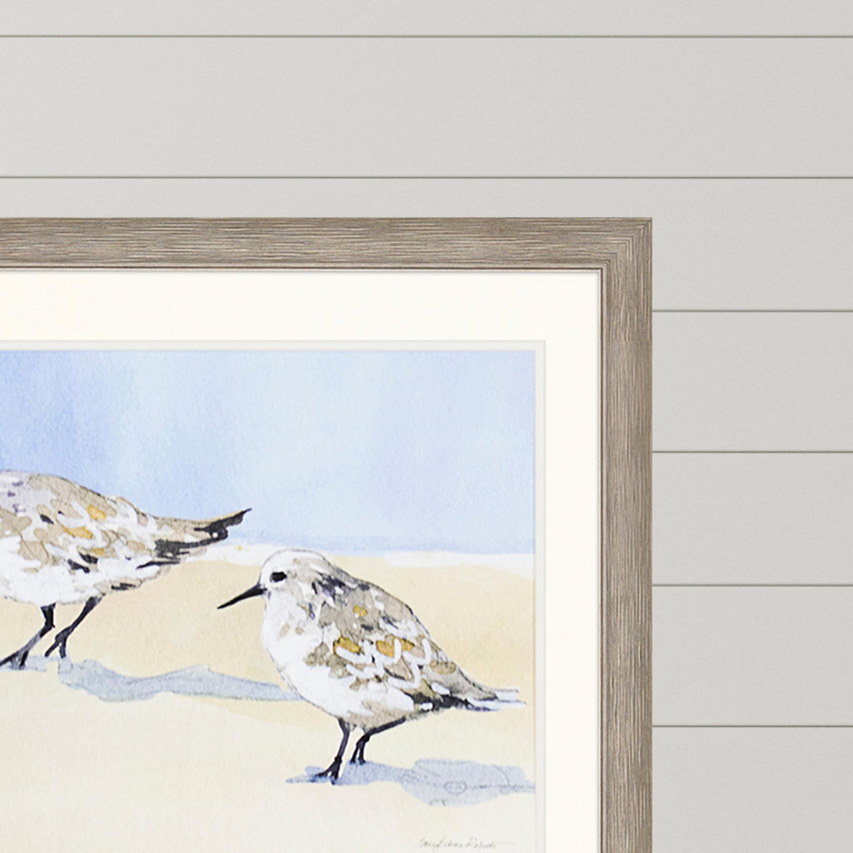 Paragon Sandpipers I Blue 26 X 42 X 2 Wall Art