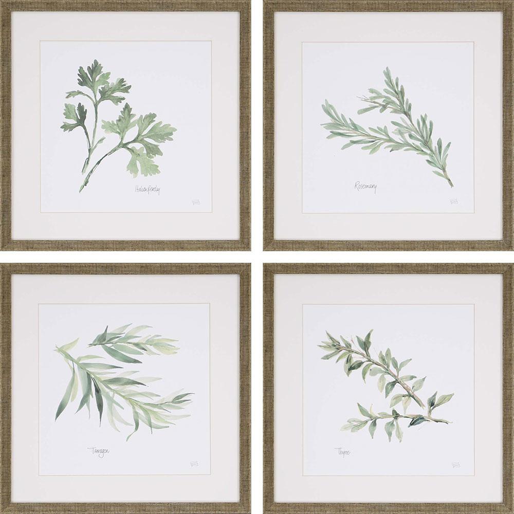 Paragon Fresh Herbs S/4 Green 17 X 17 X 1 Wall Art