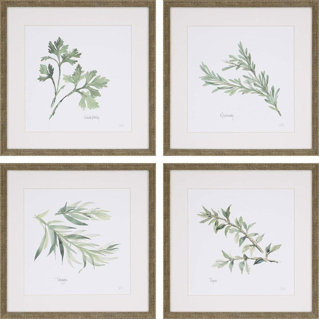 Paragon Fresh Herbs S/4 Green 17 X 17 X 1 Wall Art