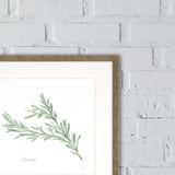 Paragon Fresh Herbs S/4 Green 17 X 17 X 1 Wall Art