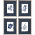 Paragon Coral on Grasscloth S/4 Blue 13 X 10 X 1 Wall Art
