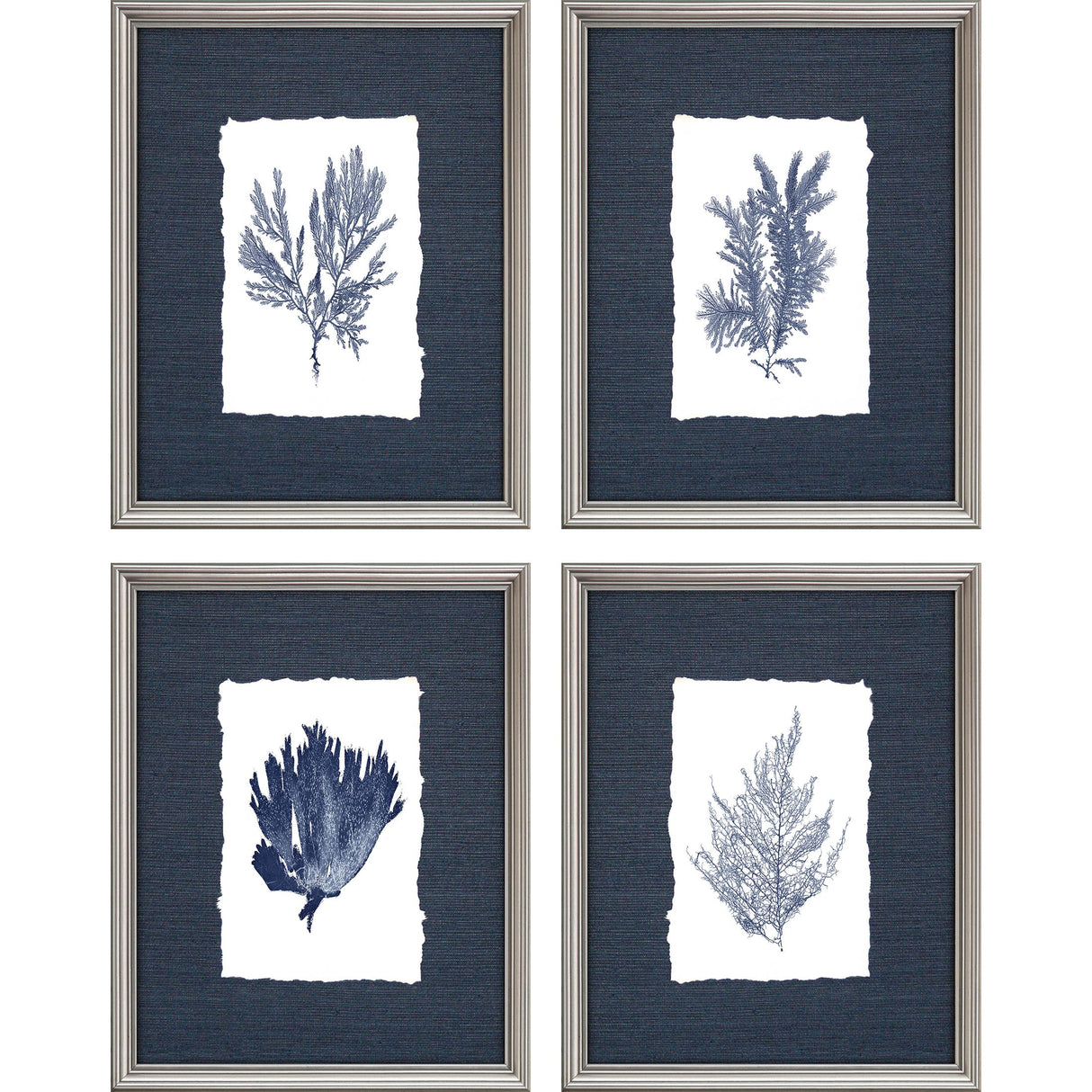 Paragon Coral on Grasscloth S/4 Blue 13 X 10 X 1 Wall Art