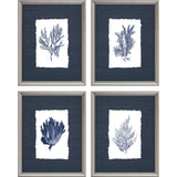 Paragon Coral on Grasscloth S/4 Blue 13 X 10 X 1 Wall Art