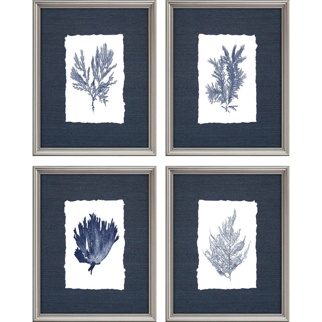 Paragon Coral on Grasscloth S/4 Blue 13 X 10 X 1 Wall Art
