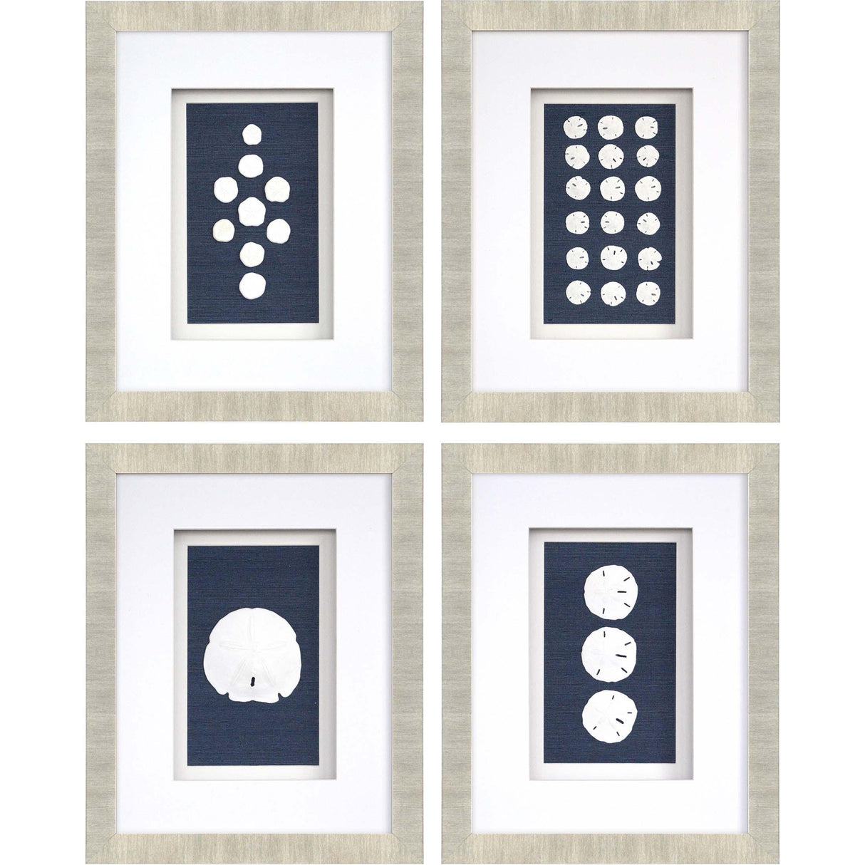 Paragon Sand Dollars S/4 Blue 23 X 18 X 2 Wall Art