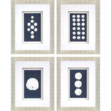 Paragon Sand Dollars S/4 Blue 23 X 18 X 2 Wall Art