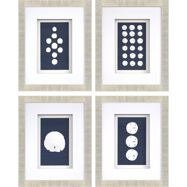 Paragon Sand Dollars S/4 Blue 23 X 18 X 2 Wall Art