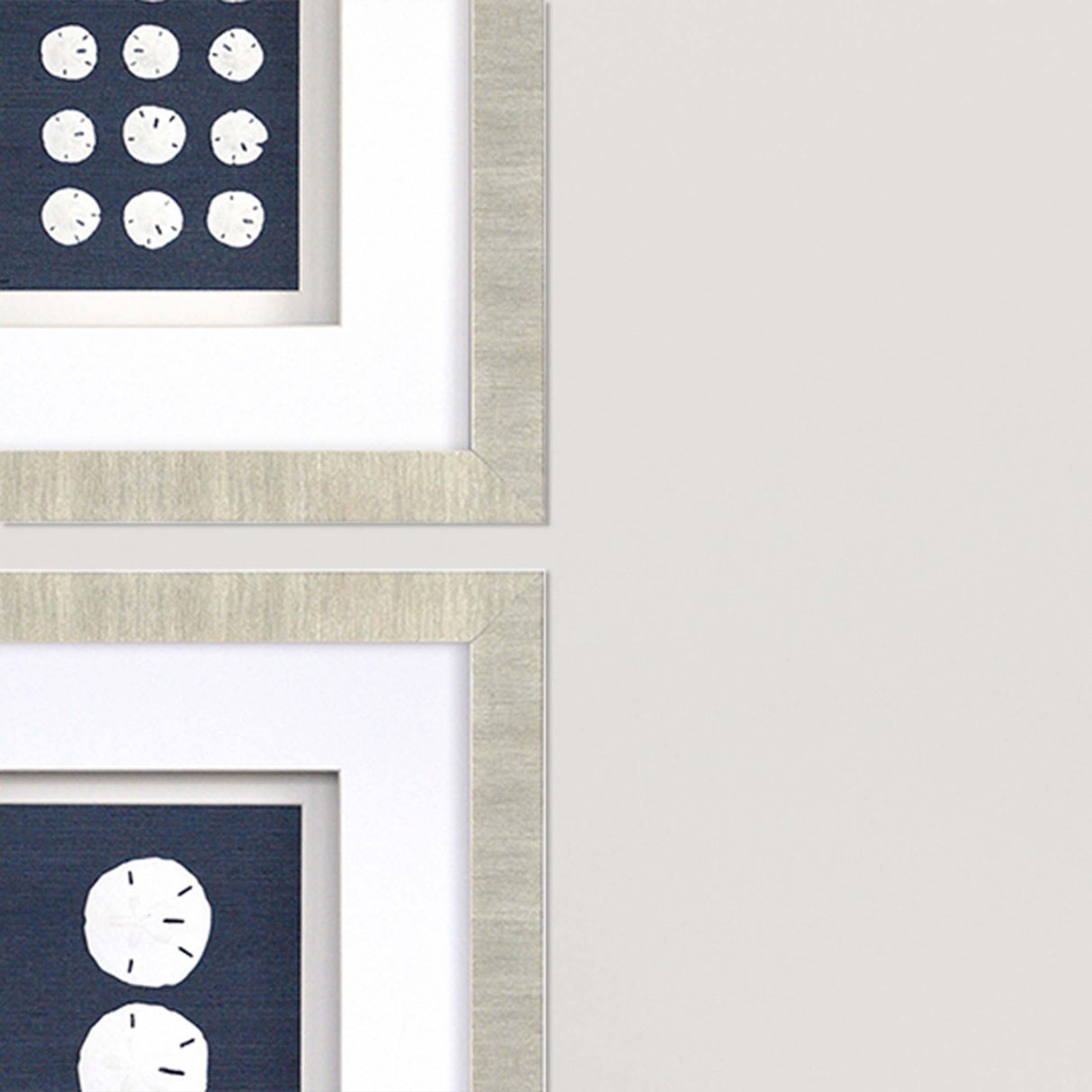 Paragon Sand Dollars S/4 Blue 23 X 18 X 2 Wall Art