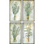 Paragon Bountiful Herbs S/4 Green 25 X 13 X 2 Wall Art