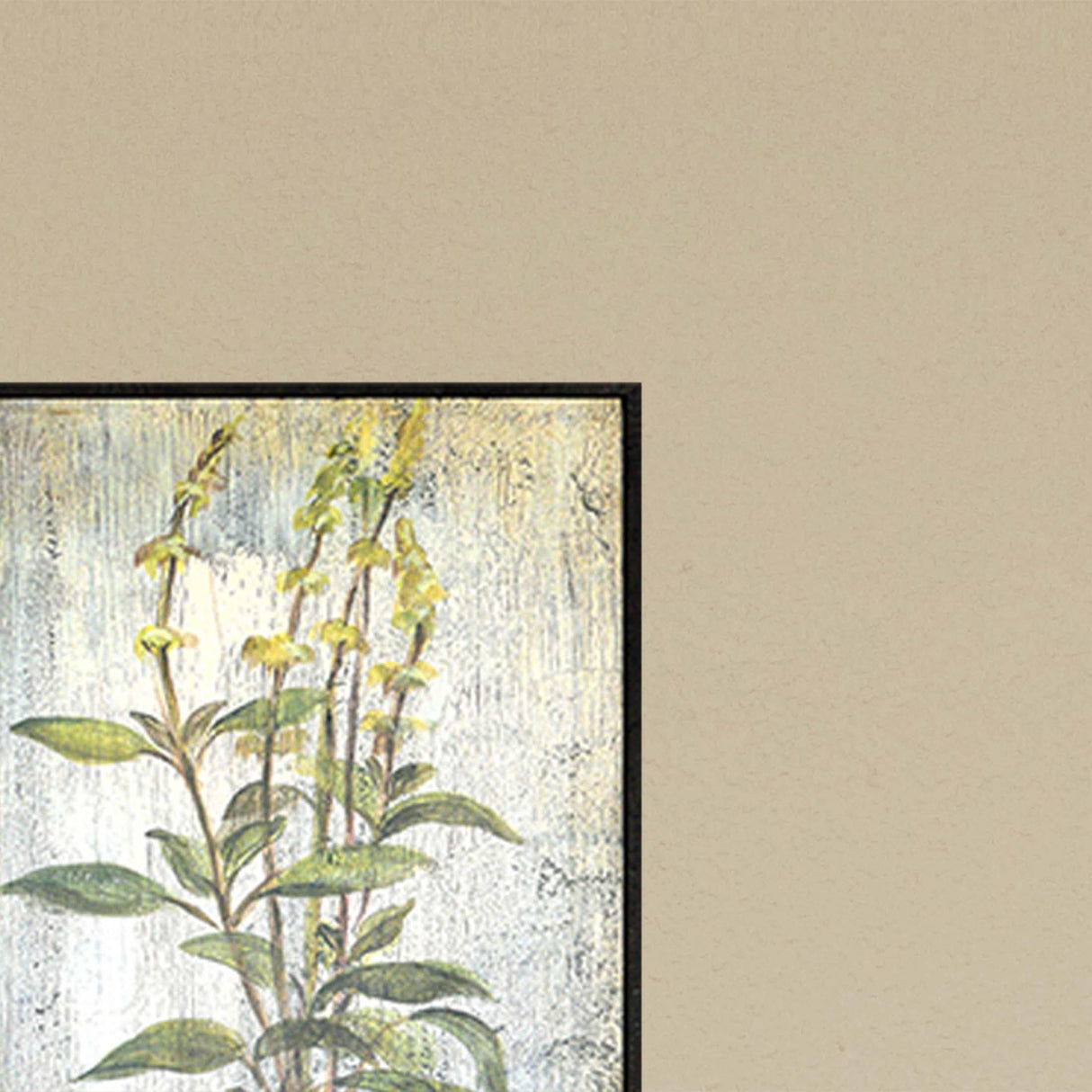 Paragon Bountiful Herbs S/4 Green 25 X 13 X 2 Wall Art