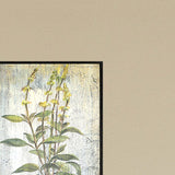 Paragon Bountiful Herbs S/4 Green 25 X 13 X 2 Wall Art