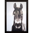 Paragon Horse Portrait White 50 X 35 X 2 Wall Art