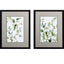Paragon Greeting to Morning S/2 Green 27 X 21 X 2 Wall Art