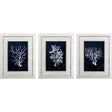 Paragon Wood Coral Blue S/3 Blue 28 X 22 X 1 Wall Art