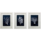 Paragon Wood Coral Blue S/3 Blue 28 X 22 X 1 Wall Art