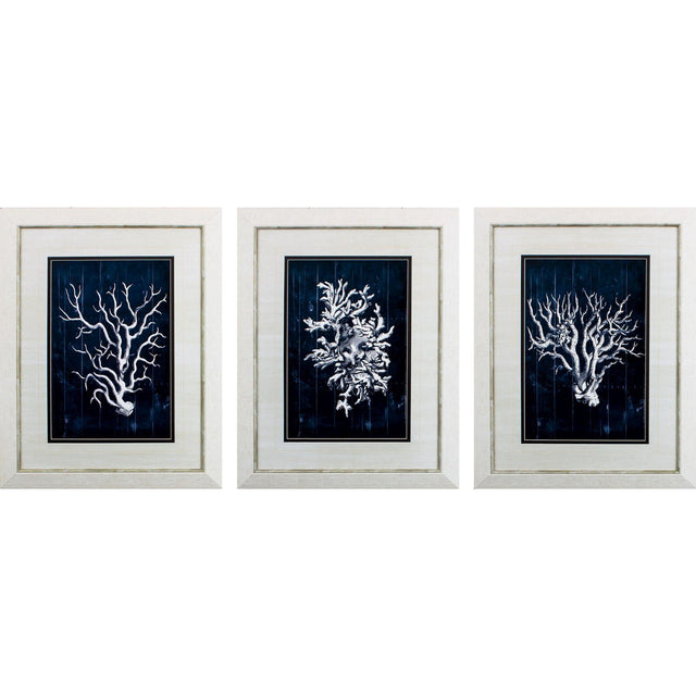 Paragon Wood Coral Blue S/3 Blue 28 X 22 X 1 Wall Art