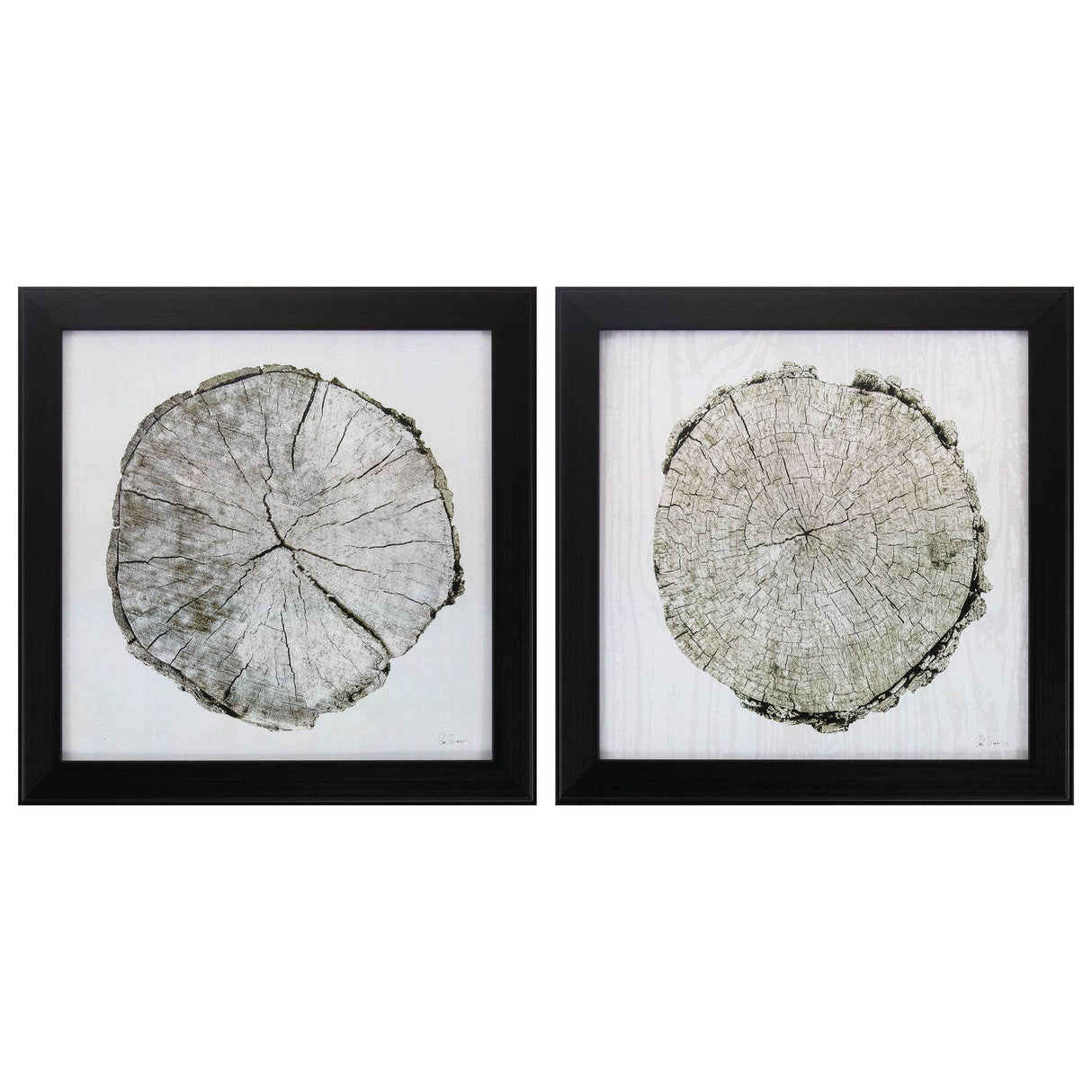 Paragon Woodland Years S/2 Neutral 14 X 14 X 2 Wall Art