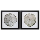 Paragon Woodland Years S/2 Neutral 14 X 14 X 2 Wall Art