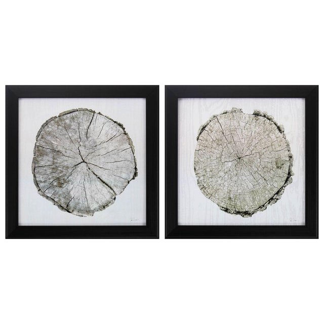 Paragon Woodland Years S/2 Neutral 14 X 14 X 2 Wall Art
