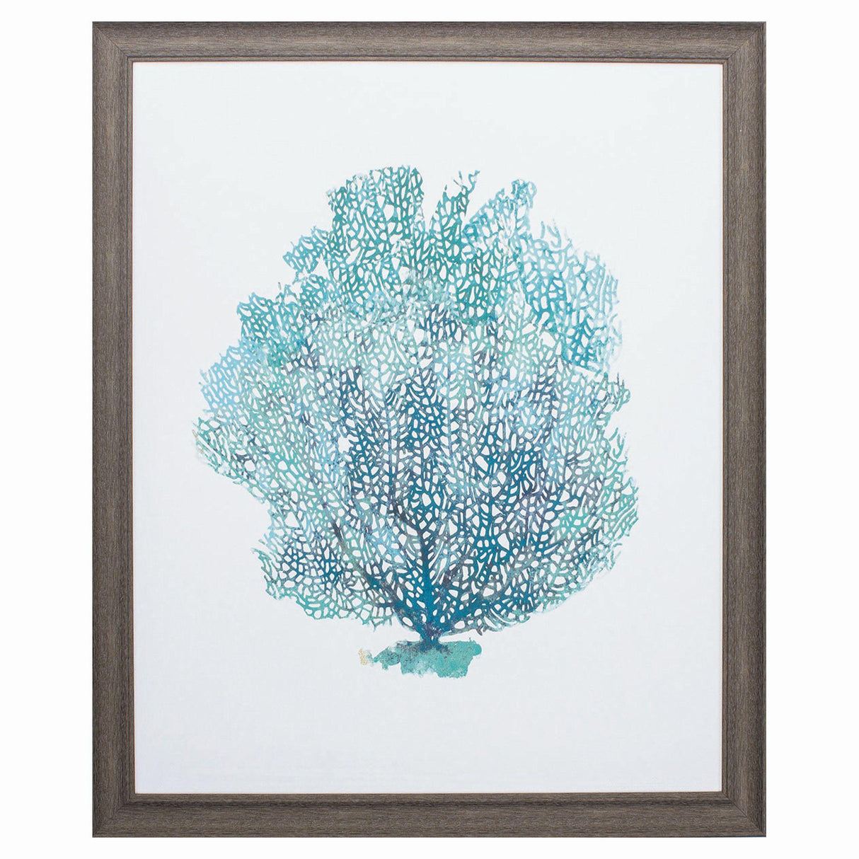 Paragon Aqua Coral on White I Teal 33 X 27 X 1 Wall Art