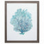 Paragon Aqua Coral on White I Teal 33 X 27 X 1 Wall Art