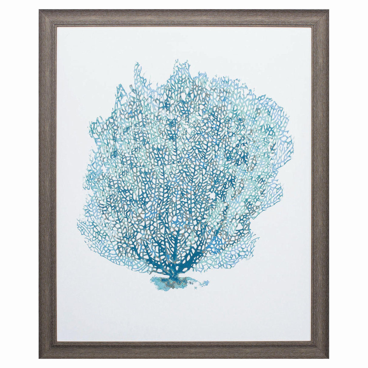 Paragon Aqua Coral on White II Teal 33 X 27 X 1 Wall Art